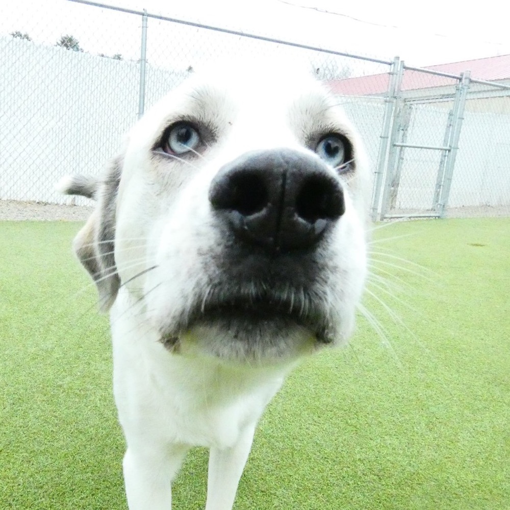 Meet your Posher, Beth